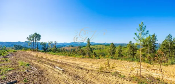 Fazenda / Sítio / Chácara com 1 Quarto à venda, 2693786m² no Centro, Campo Largo