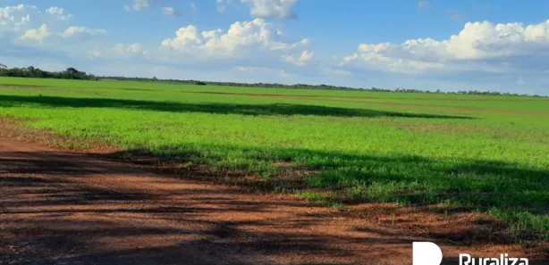 Fazenda / Sítio / Chácara à venda, 1480m² no , Cristalândia