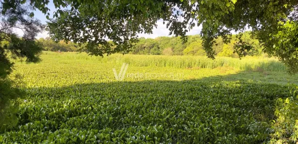 Fazenda / Sítio / Chácara com 3 Quartos para venda ou aluguel, 90m² no Santa Terezinha, Paulínia