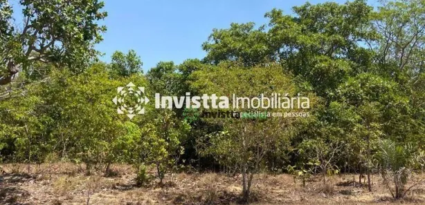 Fazenda / Sítio / Chácara à venda, 242m² no Centro, Pium