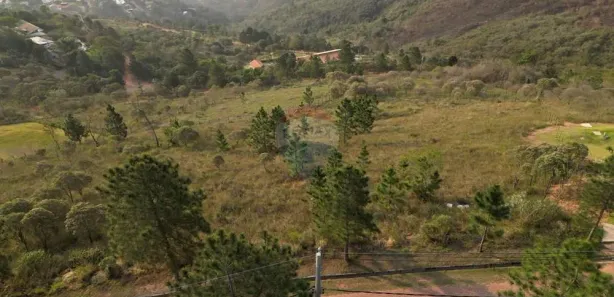 Terreno / Lote / Condomínio à venda, 3001m² no Pedro do Rio, Petrópolis