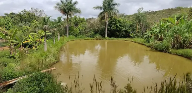 Fazenda / Sítio / Chácara com 4 Quartos à venda, 20000m² no Ponte Alta Norte, Brasília