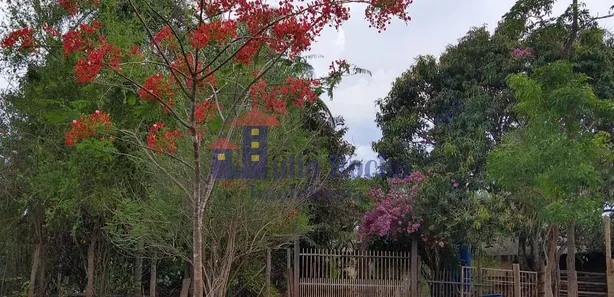 Fazenda / Sítio / Chácara com 3 Quartos à venda, 20000m² no Setor Habitacional Jardim Botânico, Brasília