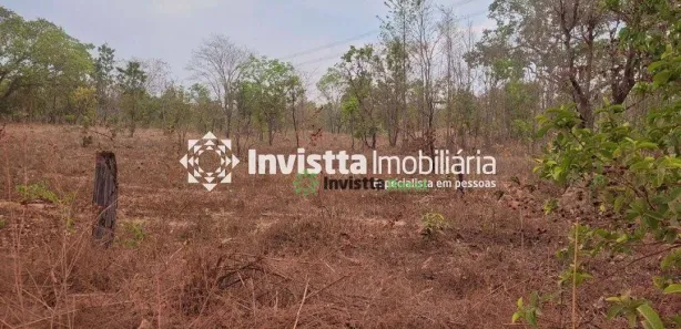 Fazenda / Sítio / Chácara à venda, 339m² no Setor Serrano, Paraíso do Tocantins