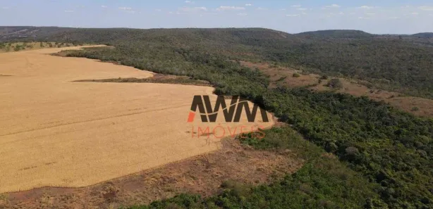 Fazenda / Sítio / Chácara à venda, 7066400m² no Centro, Paraíso do Tocantins