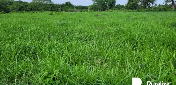 Fazenda / Sítio / Chácara à venda, 150m² no , Paraíso do Tocantins