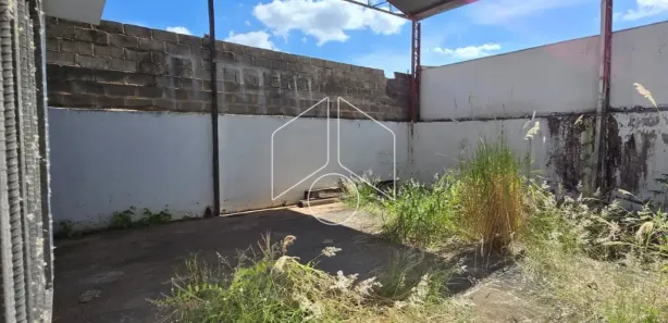 Galpão / Depósito / Armazém à venda, 350m² no Alto Cafezal, Marília