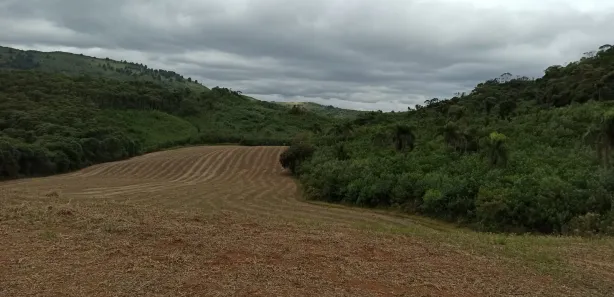 Fazenda / Sítio / Chácara à venda, 95465m² no Morro Azul, Almirante Tamandaré