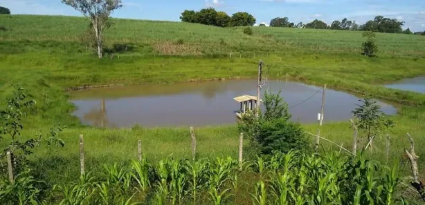 Fazenda / Sítio / Chácara à venda, 205700m² no Área Rural de Capivari, Capivari