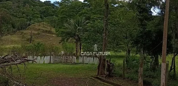 Fazenda / Sítio / Chácara com 5 Quartos à venda, 120m² no Dorândia, Barra do Piraí