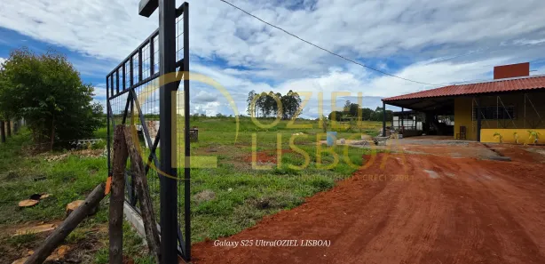 Fazenda / Sítio / Chácara com 3 Quartos à venda, 20000m² no Brazlândia, Brasília