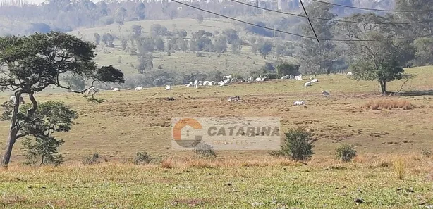 Galpão / Depósito / Armazém à venda, 314600m² no , Mairinque