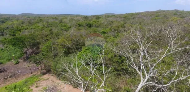Terreno / Lote / Condomínio à venda, 600m² no José Gonçalves, Armação dos Búzios