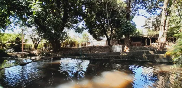 Fazenda / Sítio / Chácara com 7 Quartos para alugar, 757m² no City Ribeirão, Ribeirão Preto