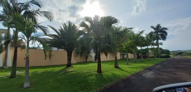 Casa de Condomínio com 3 Quartos à venda, 180m² no , Doutor Camargo