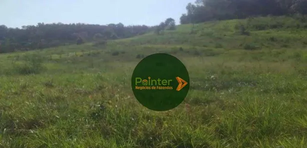 Fazenda / Sítio / Chácara à venda, 3660000m² no , Pedro Afonso