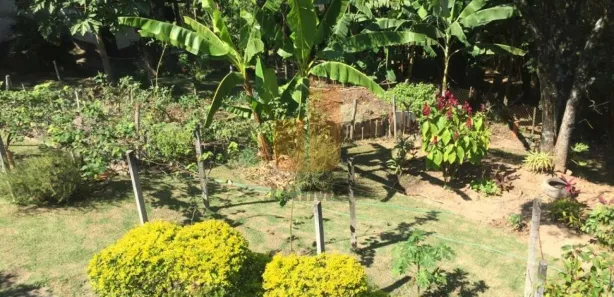 Fazenda / Sítio / Chácara com 3 Quartos à venda, 3200m² no Centro (São João Novo), São Roque