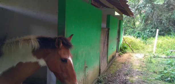 Terreno / Lote / Condomínio à venda, 5671m² no Aldeia dos Camarás, Camaragibe