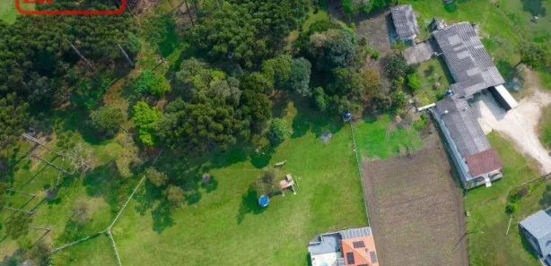 Fazenda / Sítio / Chácara com 6 Quartos à venda, 7875m² no Santa Gema, Colombo
