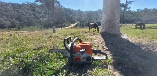 Fazenda / Sítio / Chácara com 3 Quartos à venda, 250m² no Rio Branco do Sul, Rio Branco do Sul
