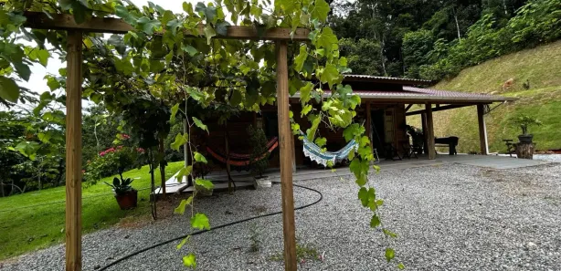 Fazenda / Sítio / Chácara com 2 Quartos à venda, 7000m² no Centro, Águas Mornas