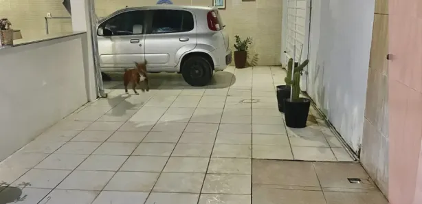 Casa com 3 Quartos à venda, 224m² no Aruana, Aracaju