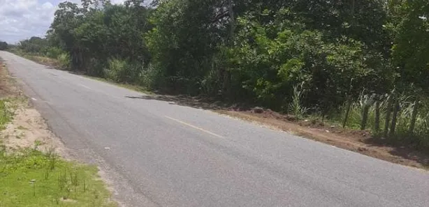 Fazenda / Sítio / Chácara com 1 Quarto à venda, 55700m² no , Alhandra