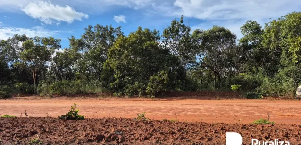 Fazenda / Sítio / Chácara à venda, 653m² no , Rio Sono