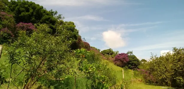 Fazenda / Sítio / Chácara com 1 Quarto à venda, 120000m² no , Antonina