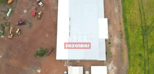 Fazenda / Sítio / Chácara à venda, 55000000m² no , Pedro Afonso
