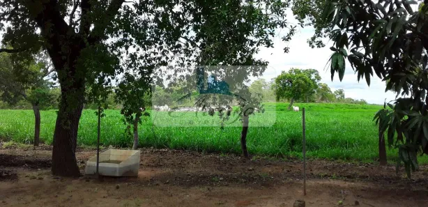 Fazenda / Sítio / Chácara com 1 Quarto à venda, 475m² no , Rio Sono
