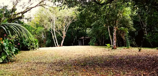 Fazenda / Sítio / Chácara com 1 Quarto à venda, 12900m² no , Antonina