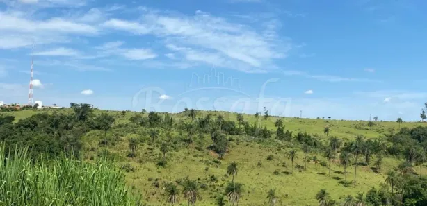 Fazenda / Sítio / Chácara à venda, 1m² no Gleba Destacada da Fazenda Santa Cruz, Jaguariúna