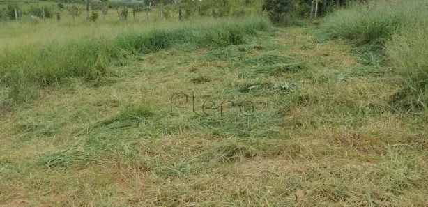 Terreno / Lote / Condomínio à venda, 175m² no Cardeal, Elias Fausto