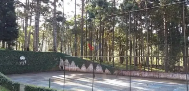 Fazenda / Sítio / Chácara à venda, 4000m² no Pacotuba, Almirante Tamandaré