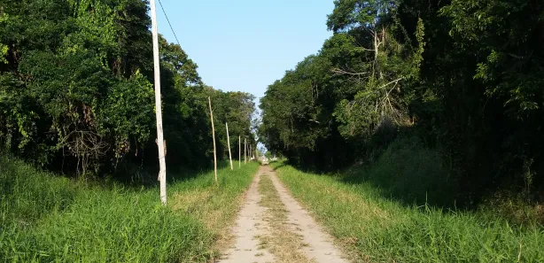 Terreno / Lote / Condomínio à venda, 5000m² no Praia do Ervino, São Francisco do Sul