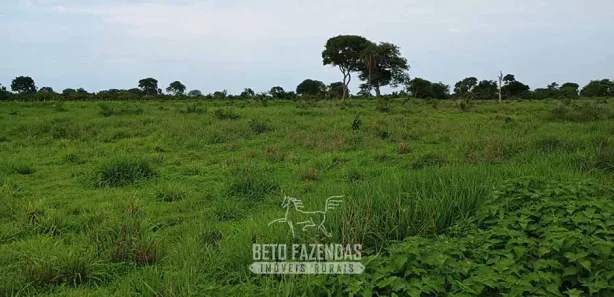 Fazenda / Sítio / Chácara à venda, 76850000m² no , Formoso do Araguaia