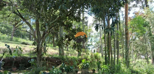 Terreno / Lote / Condomínio à venda, 23513m² no Centro (Caucaia do Alto), Cotia