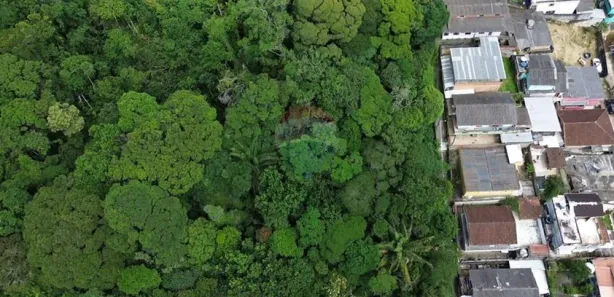 Terreno / Lote / Condomínio à venda, 6501m² no Castelanea, Petrópolis