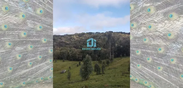 Fazenda / Sítio / Chácara à venda, 37100m² no Mandasaia, Campina Grande do Sul