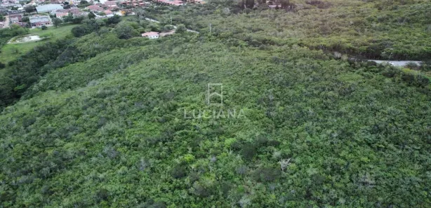 Fazenda / Sítio / Chácara à venda, 260000m² no Alpes Suiços, Gravatá