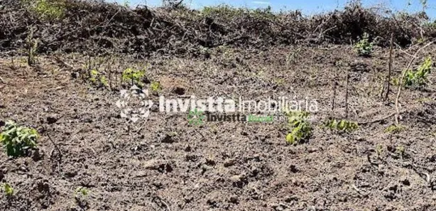 Fazenda / Sítio / Chácara com 1 Quarto à venda, 900m² no Centro, Pium