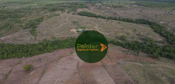 Fazenda / Sítio / Chácara à venda, 4927725m² no , Pium
