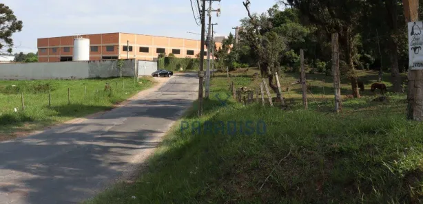 Terreno / Lote / Condomínio para venda ou aluguel, 2100m² no Colônia Rio Grande, São José dos Pinhais