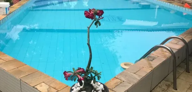 Casa com 2 Quartos à venda, 250m² no Barra do Jacuípe (Monte Gordo), Camaçari