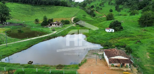 Fazenda / Sítio / Chácara à venda, 451900m² no , Canhotinho