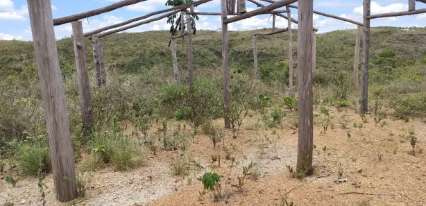 Fazenda / Sítio / Chácara à venda, 12000m² no Conjunto Habitacional Conceição Gomes Rabelo, Santo Antônio do Descoberto