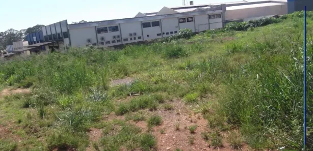 Terreno / Lote / Condomínio para alugar, 5000m² no Parque Residencial Lagoinha, Ribeirão Preto