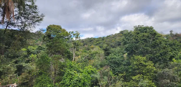 Fazenda / Sítio / Chácara à venda, 2402m² no Bom Destino, Santa Luzia
