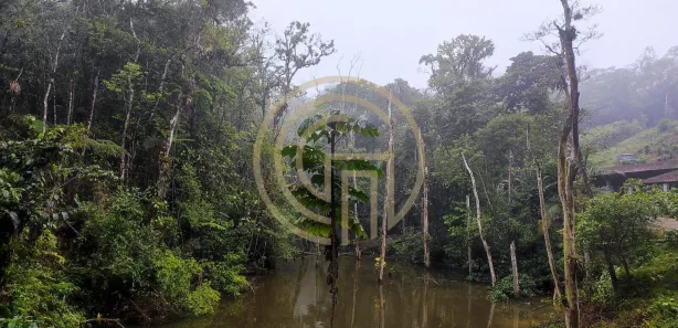 Fazenda / Sítio / Chácara com 3 Quartos à venda, 10000m² no Centro, Embu-Guaçu